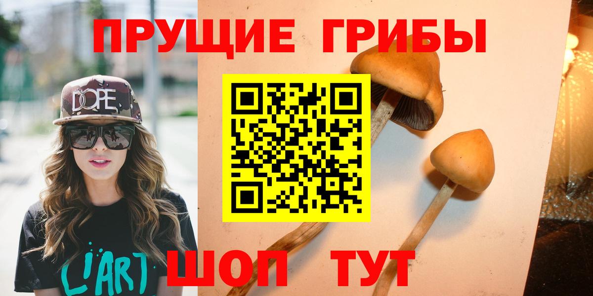 Псилоцибиновые грибы мицелий  Псилоцибиновые грибы ЛСД  наркошоп  Губкинский  Вход с VPN 