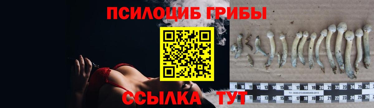 Галлюциногенные грибы прущие грибы Губкинский